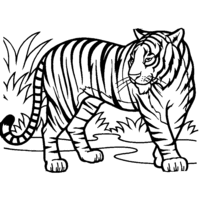 Desenho de Tigre bonito para colorir