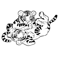 Desenho de Tigres brincando para colorir