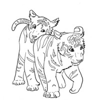 Desenho de Tigres carinhosos para colorir