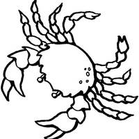 Desenho de Caranguejo crustáceo para colorir