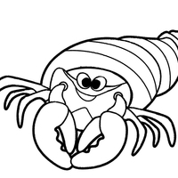 Desenho de Caranguejo ermitão para colorir
