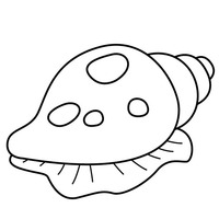 Desenho de Concha molusco para colorir