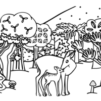 Desenho de Veados na floresta para colorir