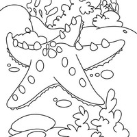 Desenho de Estrela-do-mar no fundo do mar para colorir