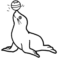 Desenho de Foca com bola no nariz para colorir