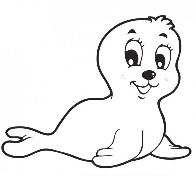 Desenho de foca para colorir desenho de animal