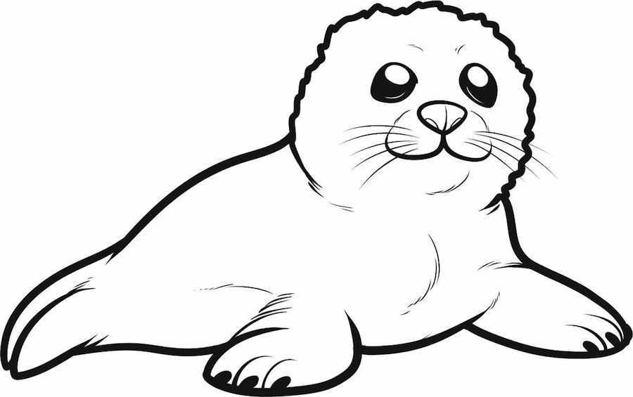 Suvve: Desenho de foca para imprimir e colorir, desenho de animal grátis