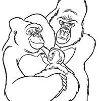Desenho de Família de gorilas para colorir