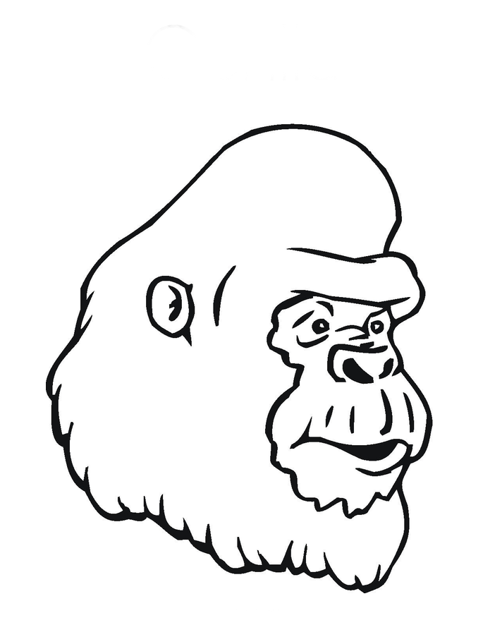 Cara de gorila