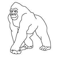 Desenho de Gorila passeando para colorir