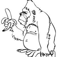 Desenho de Gorila e banana para colorir