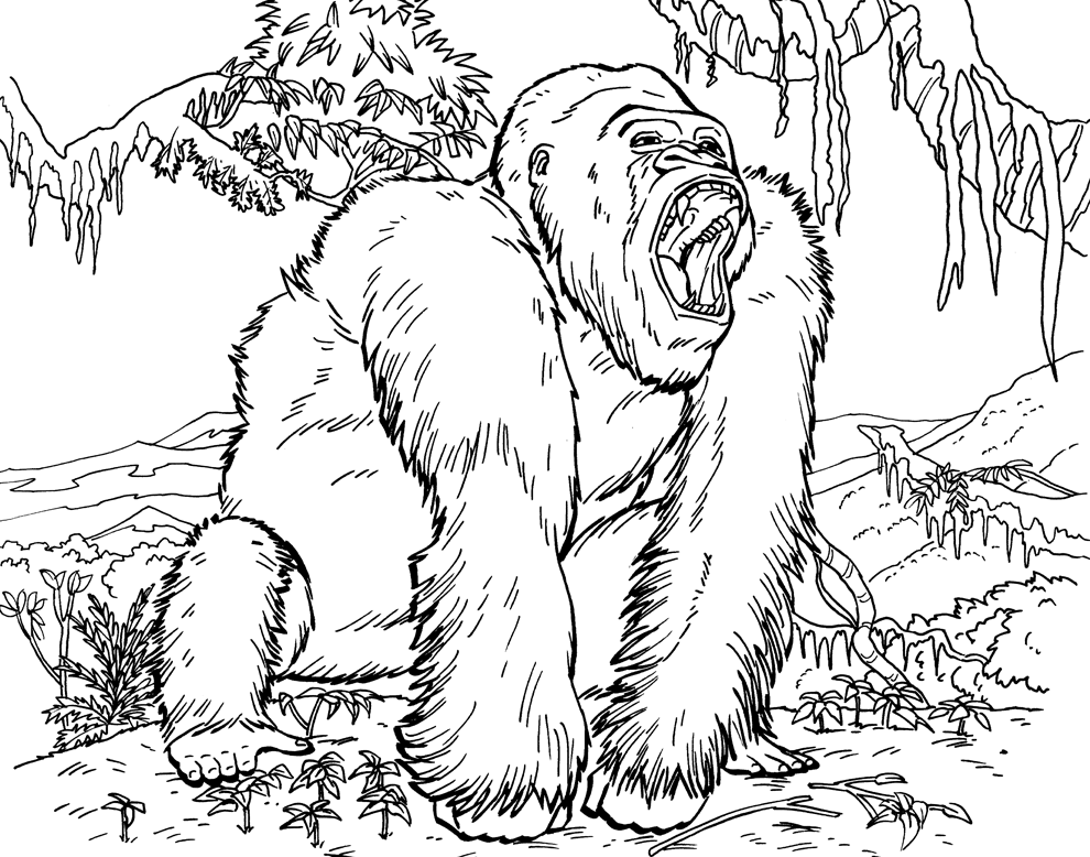 Gorila na floresta