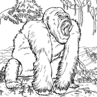 Desenho de Gorila na floresta para colorir