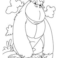 Desenho de Gorila observador para colorir