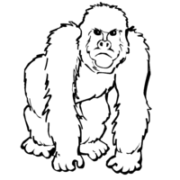 Desenho de Gorila bravo para colorir