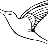 Desenho de Beija-flor com asas abertas para colorir