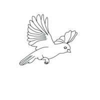 Desenho de Vôo do pássaro para colorir