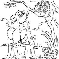 Desenho de Esquilo e ninho de passarinhos para colorir