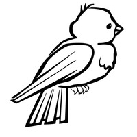 Desenho de Pequeno pássaro para colorir