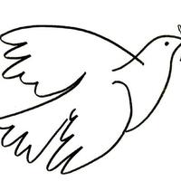 Desenho de Pomba da paz para colorir