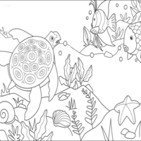 Desenho de Peixe arco-íris e tartaruga para colorir