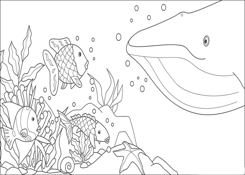 Desenhos para Colorir: Desenho de Peixe para salvar imrpimir e colorir,  desenho de baleia.