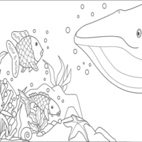 Desenho de Peixe arco-íris e baleia para colorir