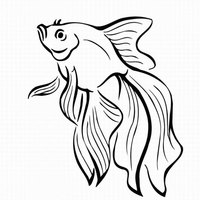 Desenho de Peixe betta para colorir