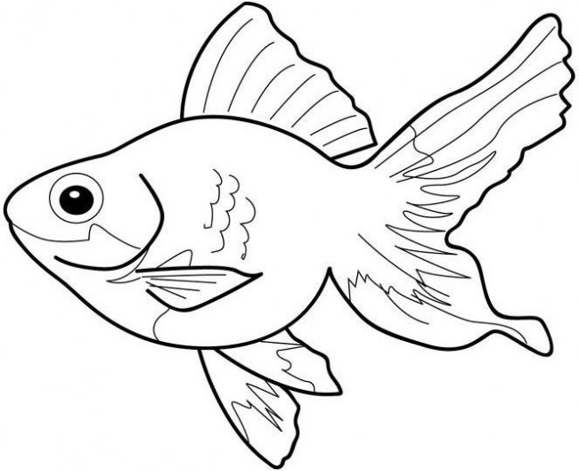 Desenho de peixe bonito para colorir e imprimir