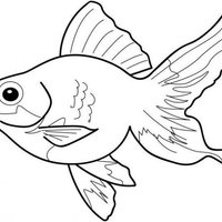 Desenho de Peixe bonito para colorir
