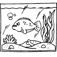 Desenho de Piranha no aquário para colorir