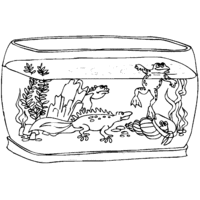 Desenho de Sapo no aquário para colorir