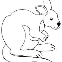 Desenho de Canguru australiano para colorir