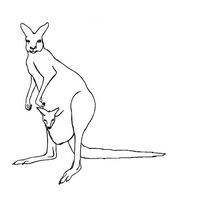 Desenho de Mamãe canguru e bebê para colorir