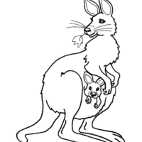 Desenho de Mamãe canguru para colorir