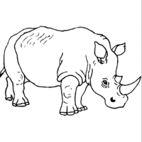Desenho de Rinoceronte branco para colorir