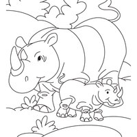 Desenho de Rinoceronte filhote para colorir