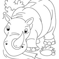 Desenho de Rinoceronte fêmea para colorir