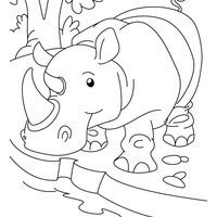 Desenho de Rinoceronte tomando água no rio para colorir
