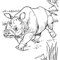 Desenho de Rinoceronte correndo para colorir