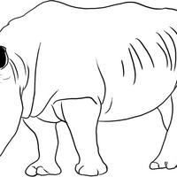 Desenho de Rinoceronte pastando para colorir