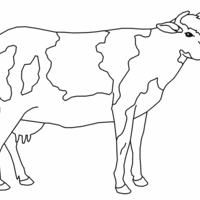 Desenho de Vaca com manchas para colorir