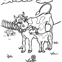 Desenho de Vaca e bezerro para colorir