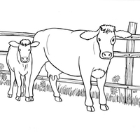 Desenho de Vaca e bezerro na cerca para colorir