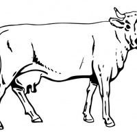 Desenho de Vaca leiteira para colorir