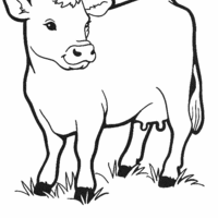 Desenho de Vaca no pasto para colorir