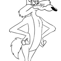 Desenho de Coiote do Looney Tunes para colorir