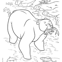 Desenho de Urso de Brave comendo peixe para colorir