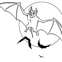Desenho de Morcego e lua cheia para colorir