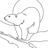 Desenho de Urso e lua cheia para colorir